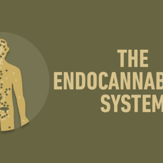 THE ENDOCANNABINOID SYSTEM