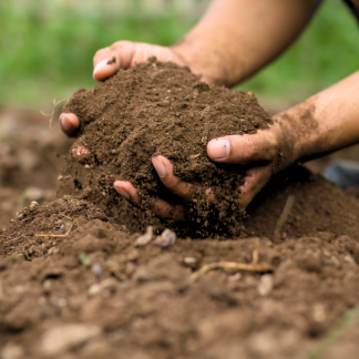 Happenings Around the Farm: Soil Testing