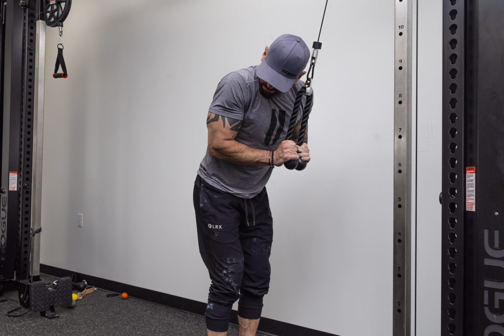 CBD users in daily life: working out